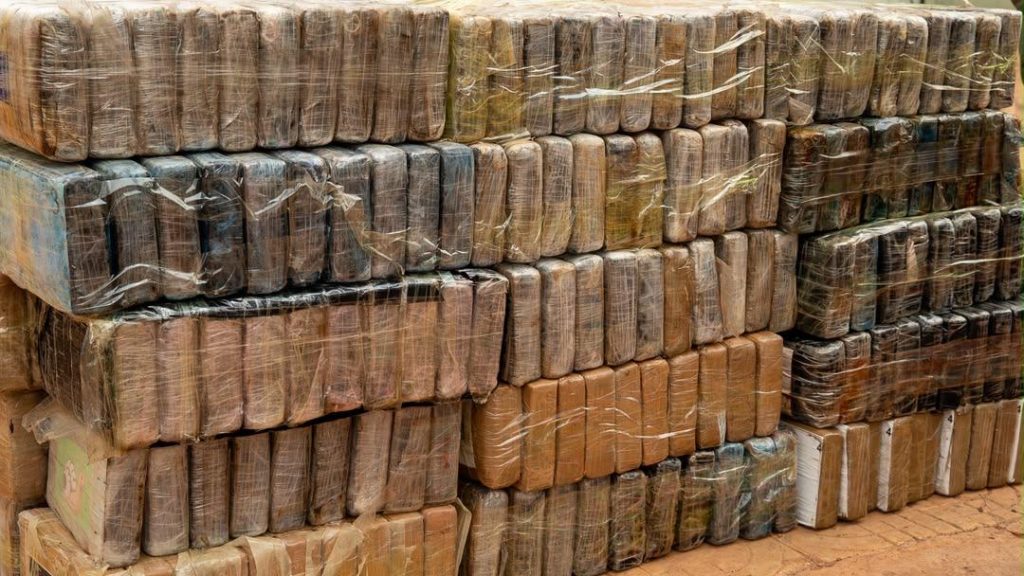 Lutte contre le trafic international de drogues: 970,6 kg de cocaïne interceptés par la Brigade mobile des Douanes de Koumpentoum